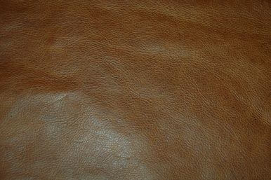 Bally-386x257